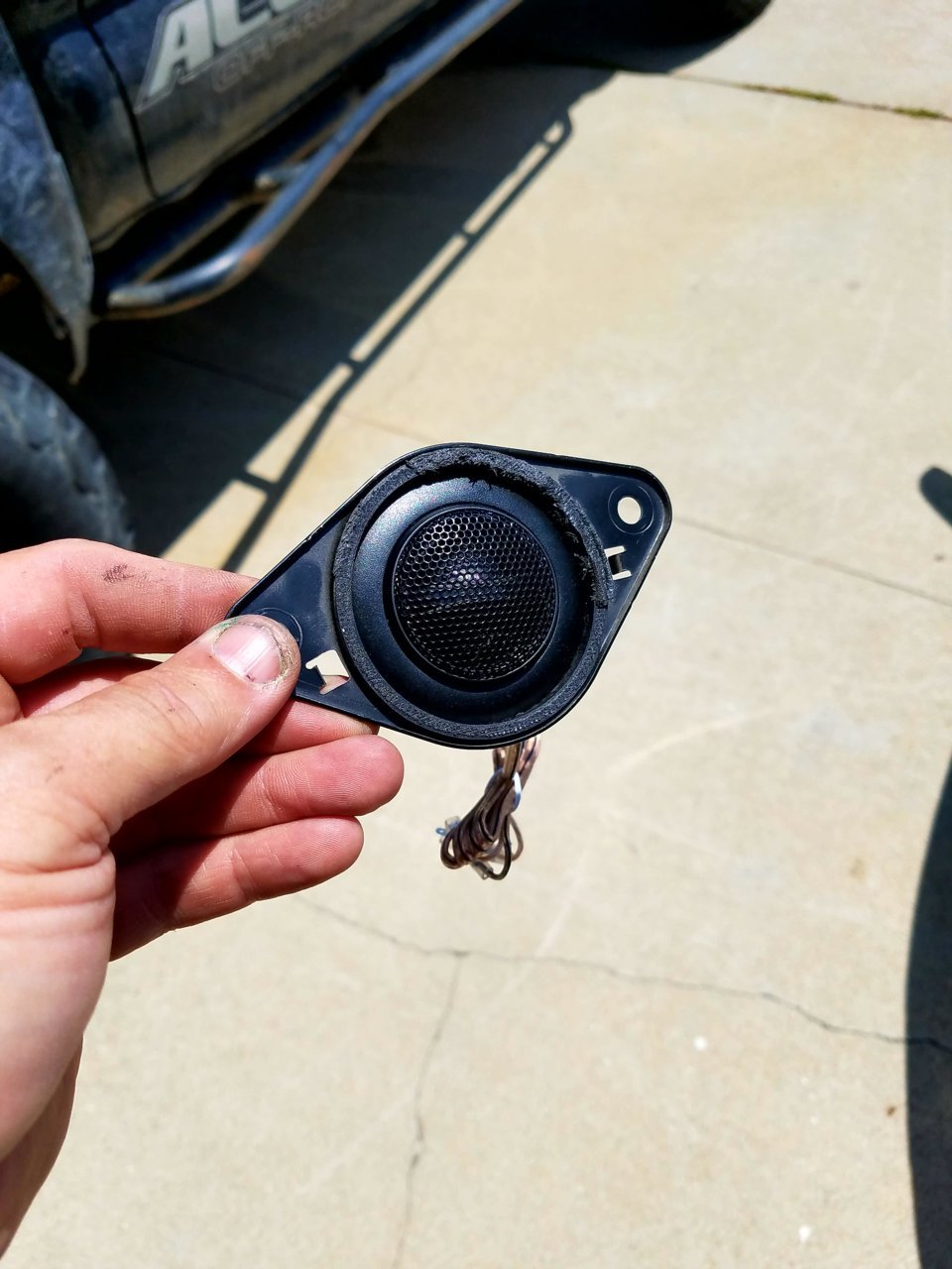 20180528_115056.jpg