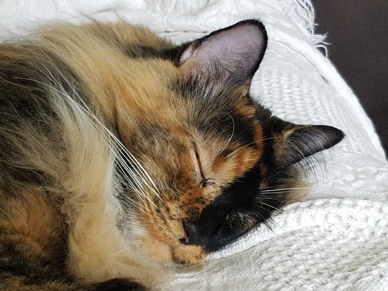 20180528_123509.jpg