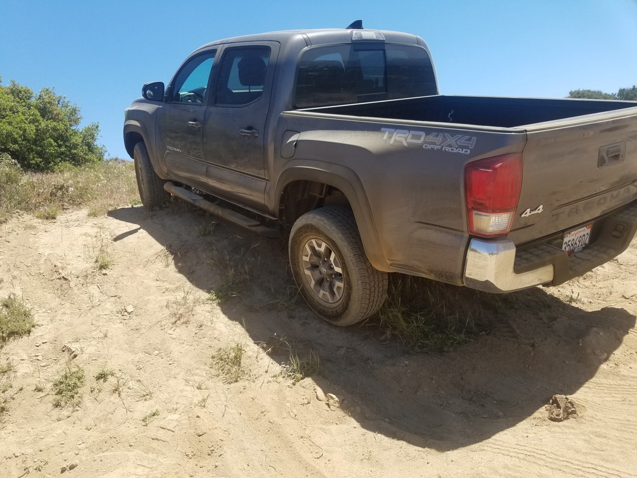 20180528_141229.jpg