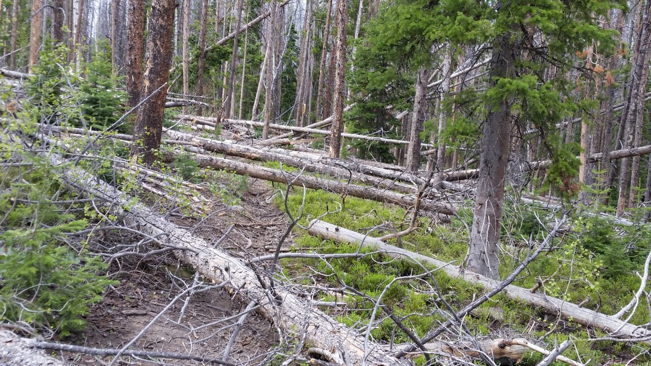20180528_151800[1].jpg