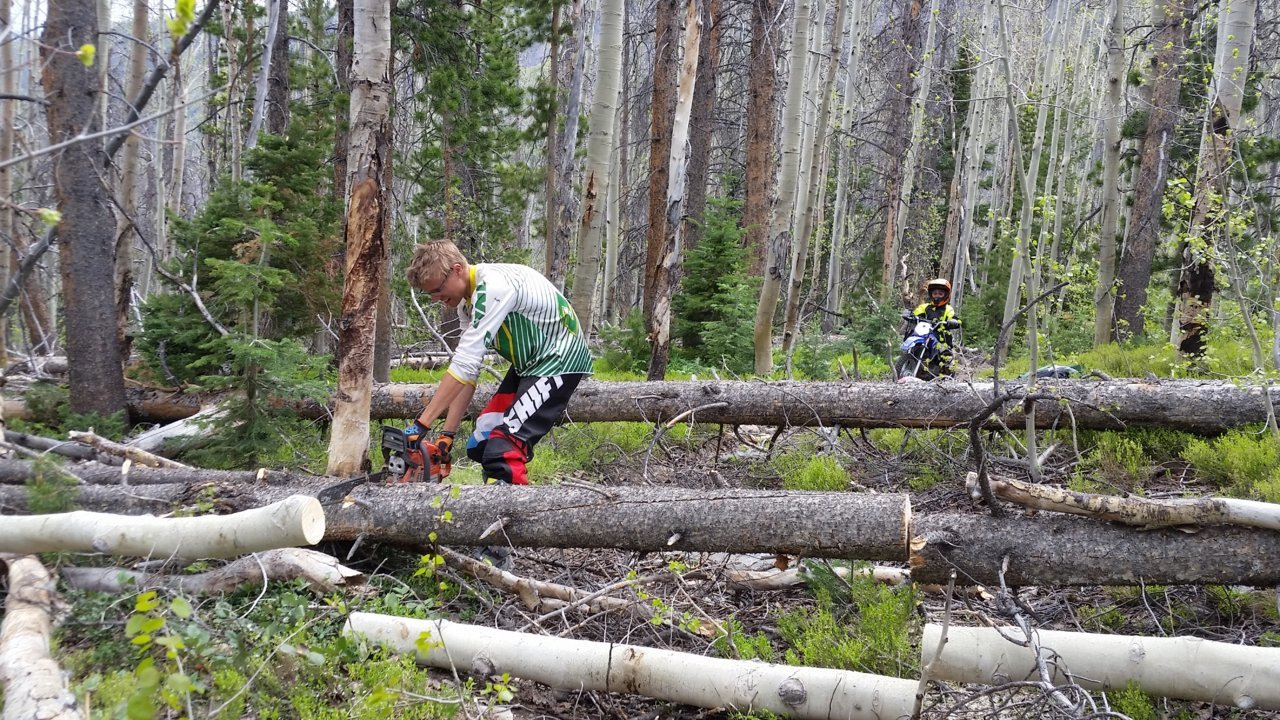20180528_151815[1].jpg
