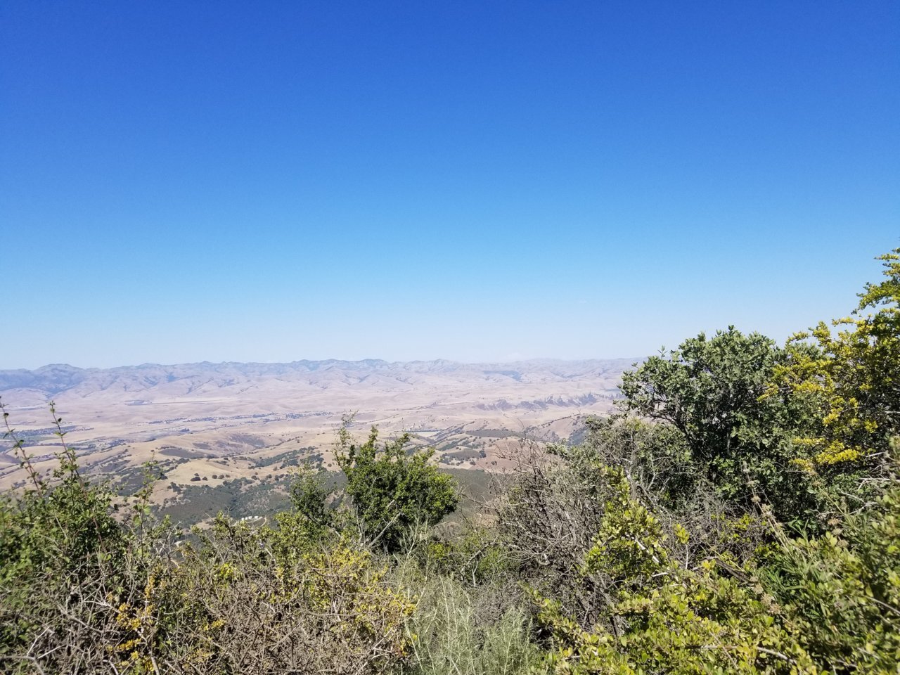 20180528_160643.jpg