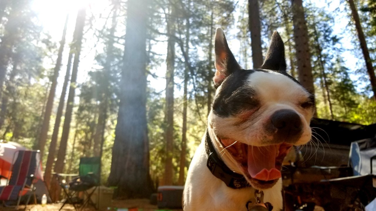 20180528_222556.jpg