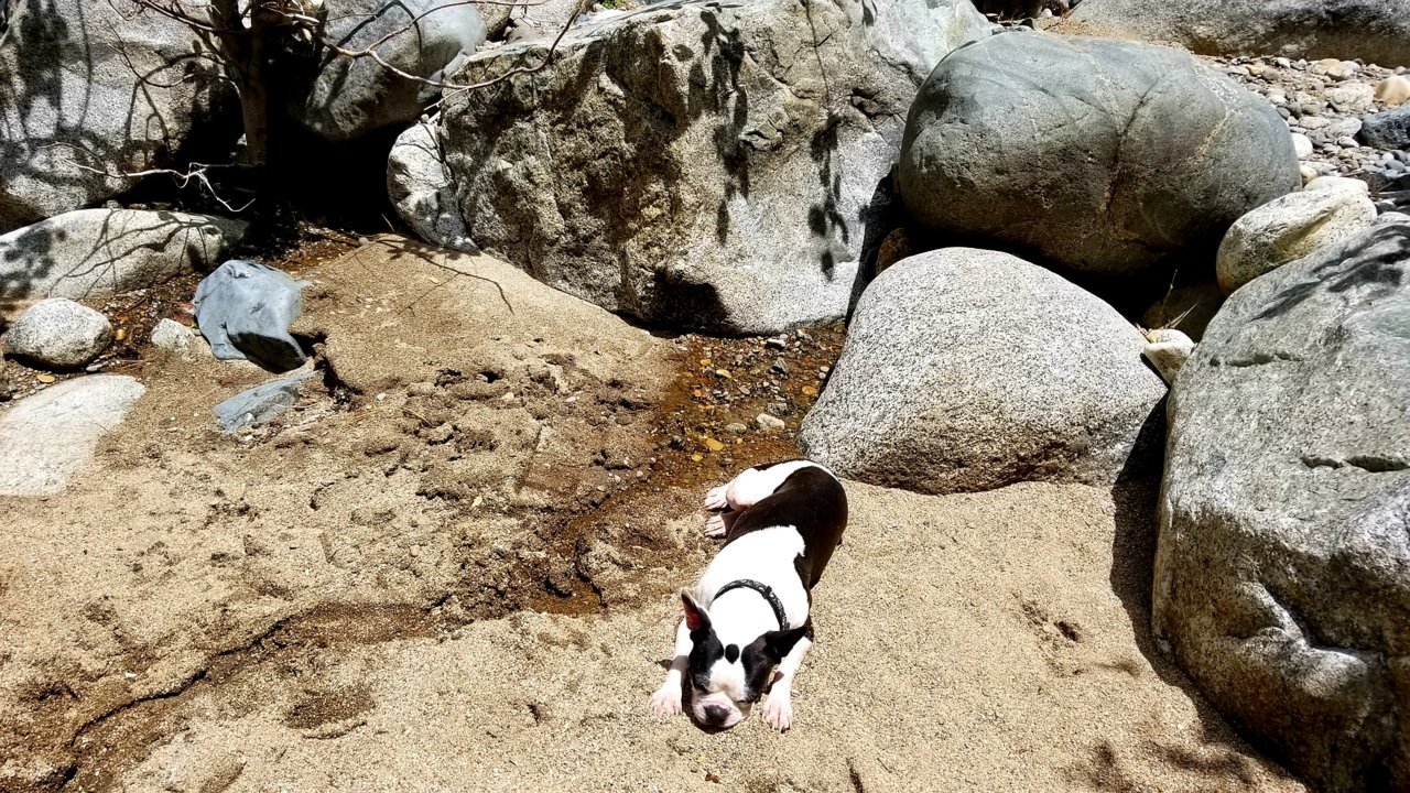 20180528_222638.jpg