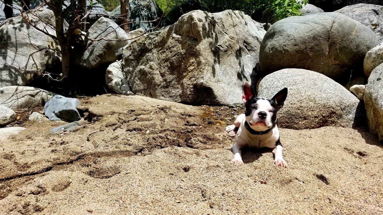20180528_222650.jpg