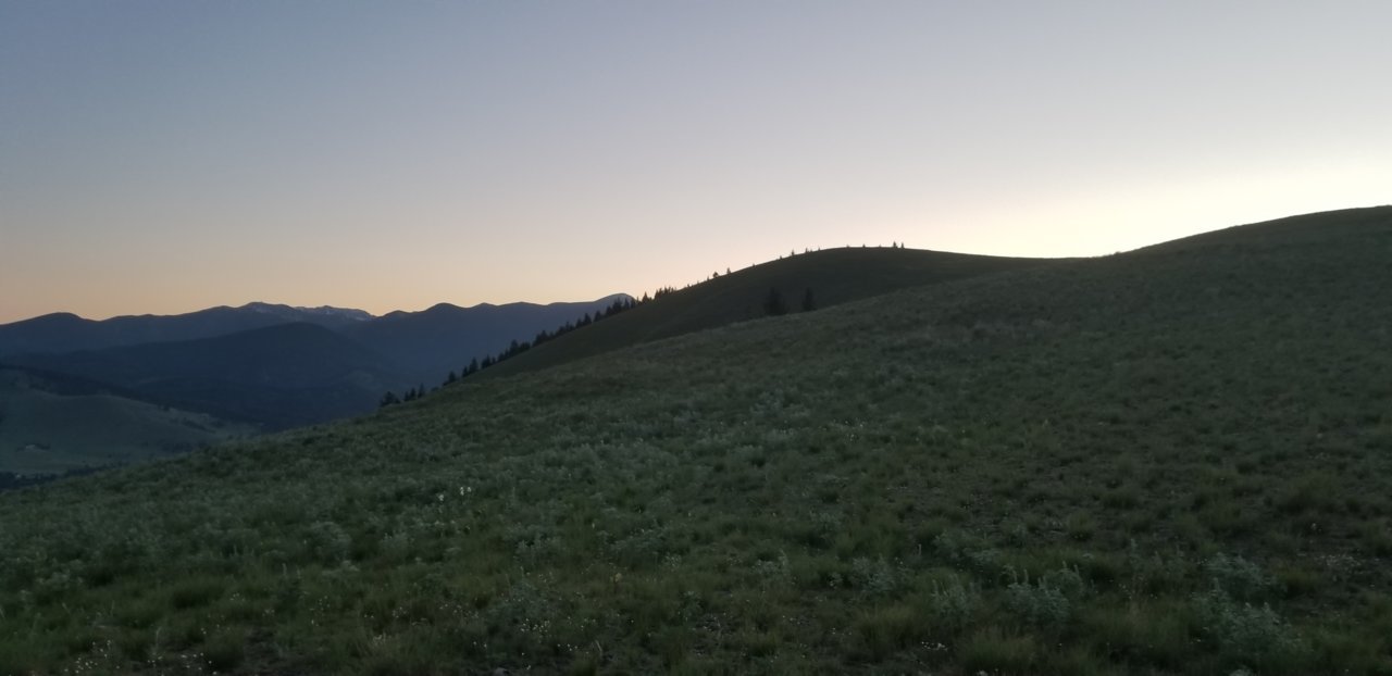 20180529_053037.jpg