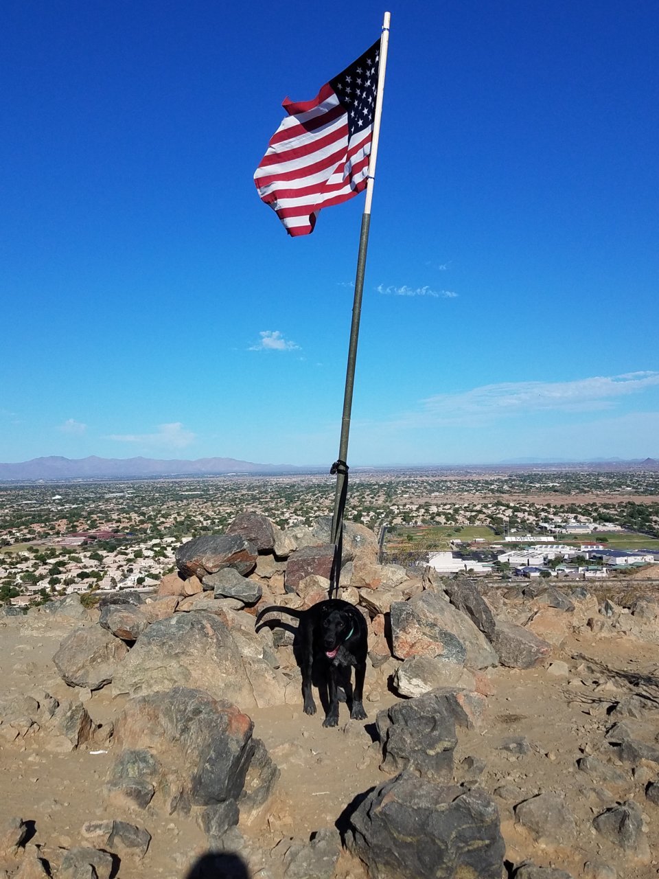 20180529_072033.jpg
