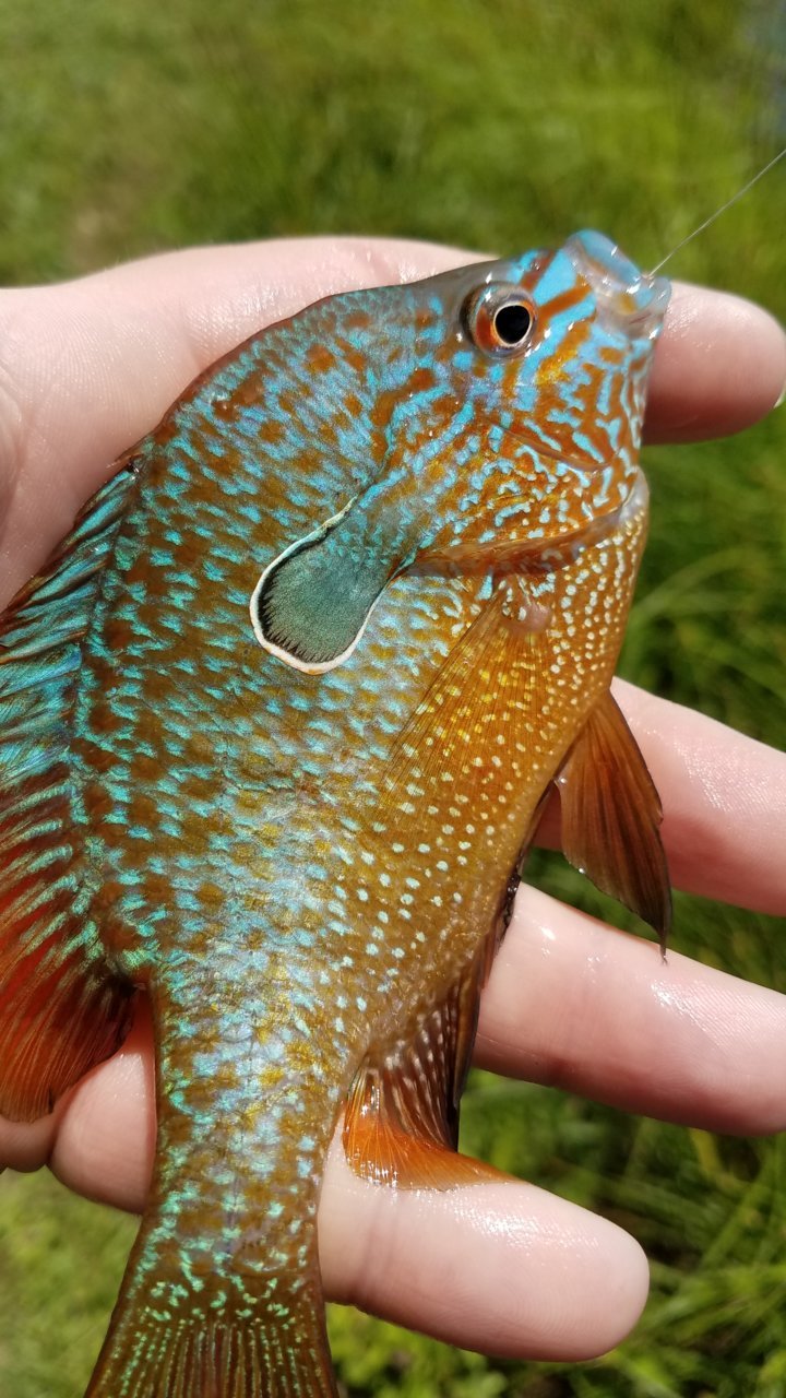 20180529_131125.jpg