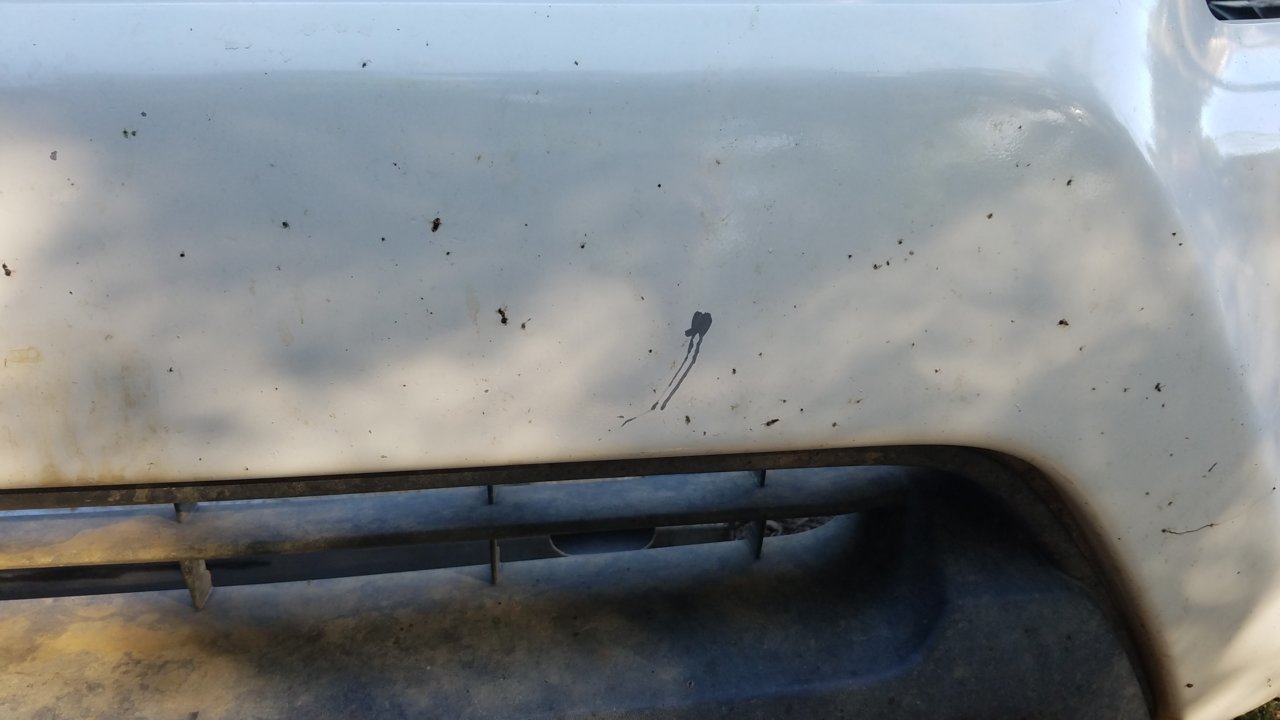 20180529_180413.jpg