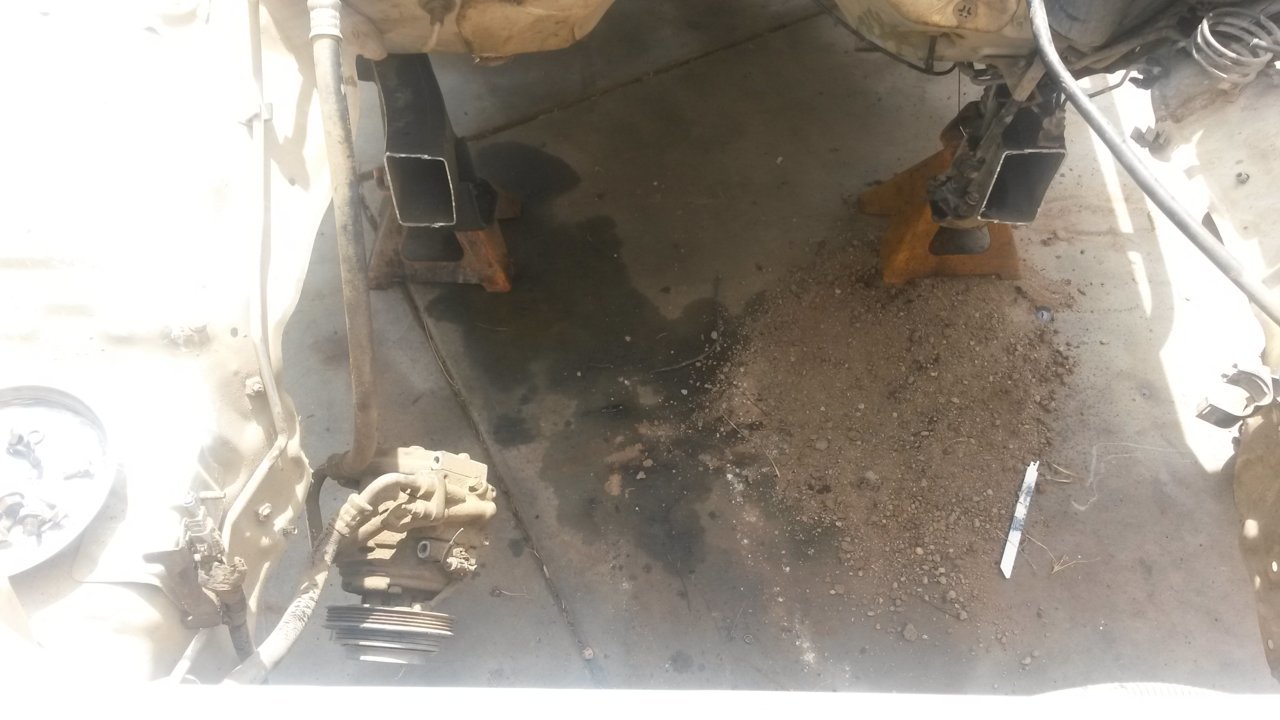 20180530_111817.jpg