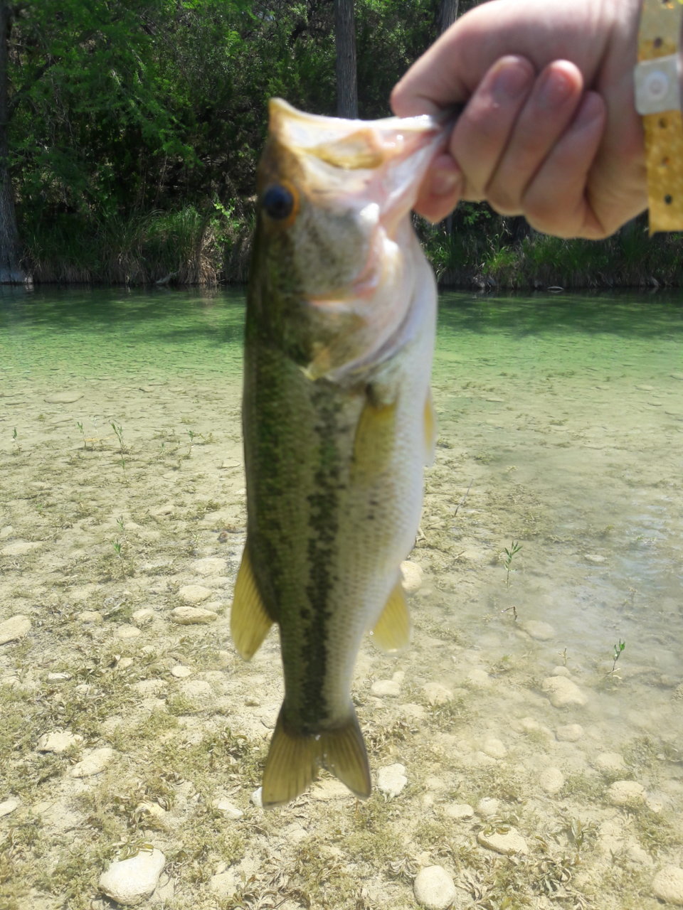 20180530_144146.jpg