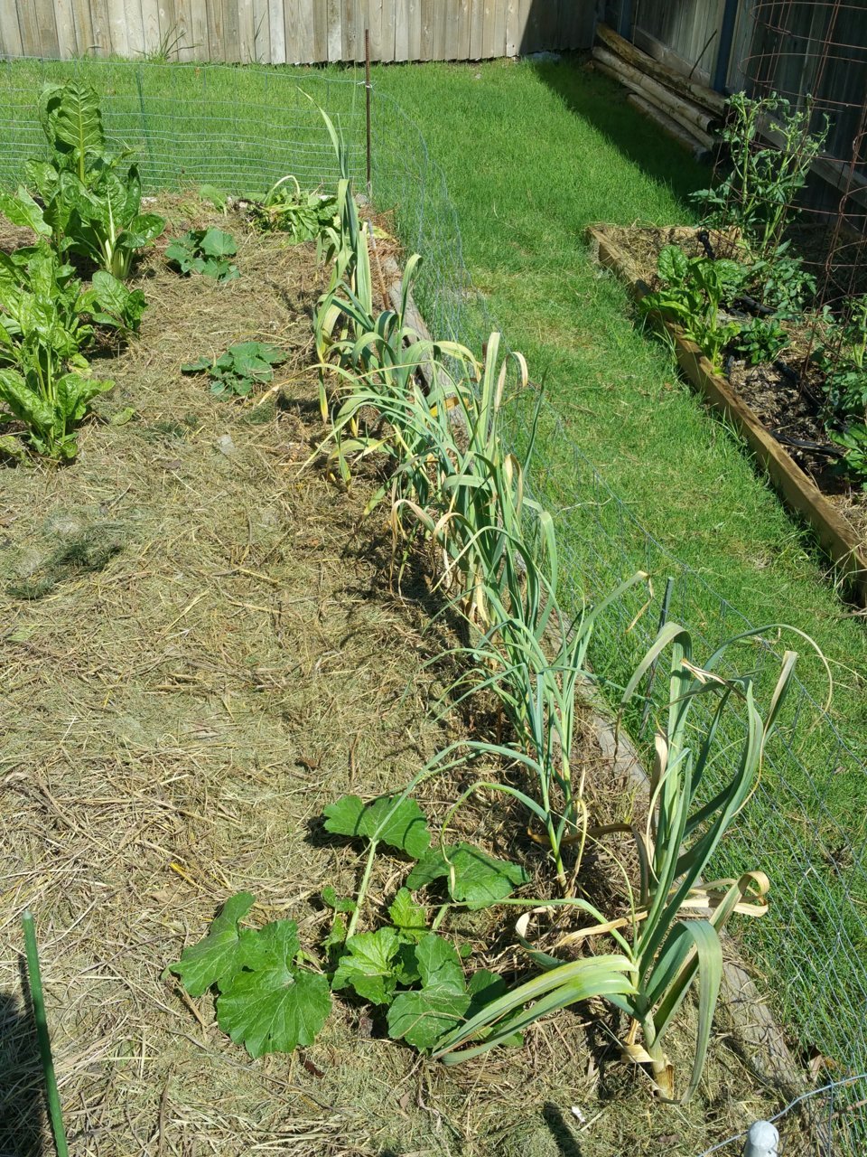 20180531_104230.jpg