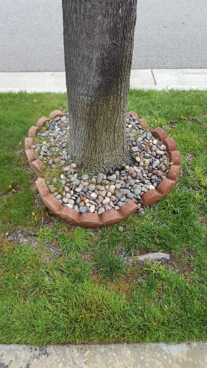 20180531_113427.jpg