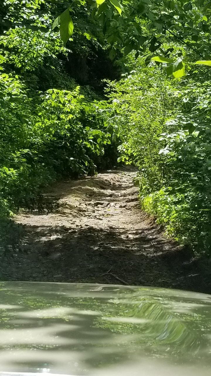 20180601_123937.jpg