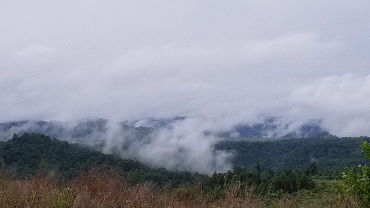 20180601_174718.jpg