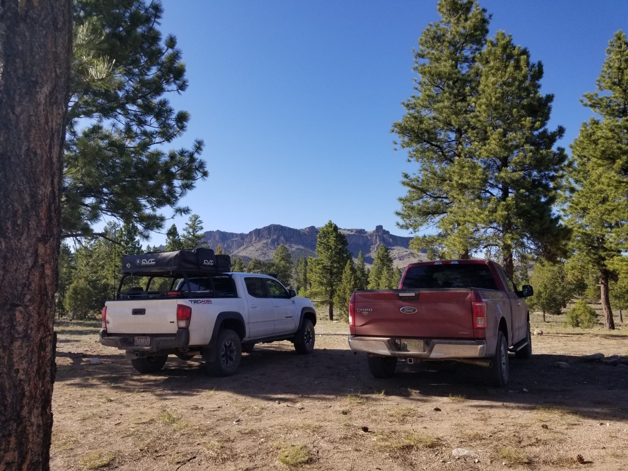 20180601_175631.jpg