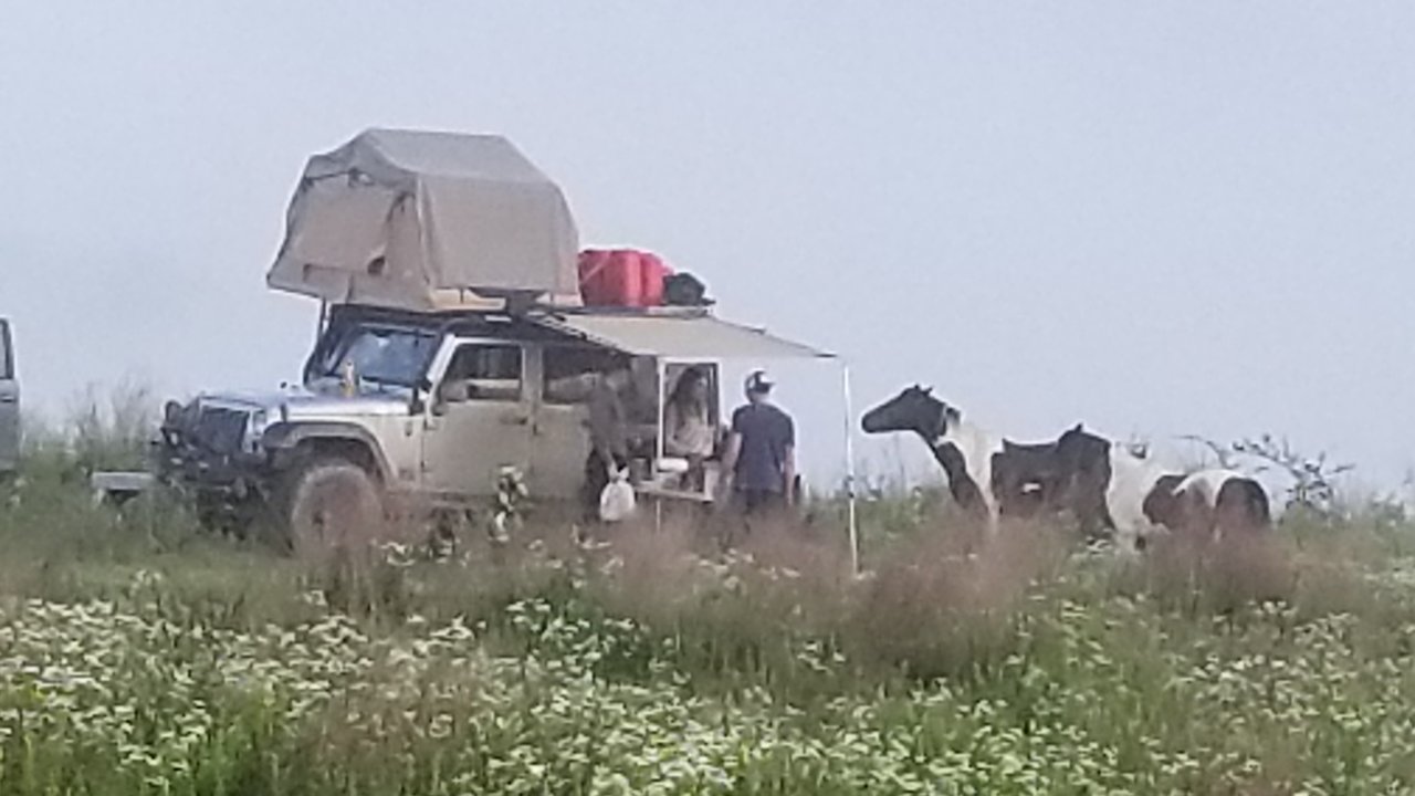 20180602_070439.jpg