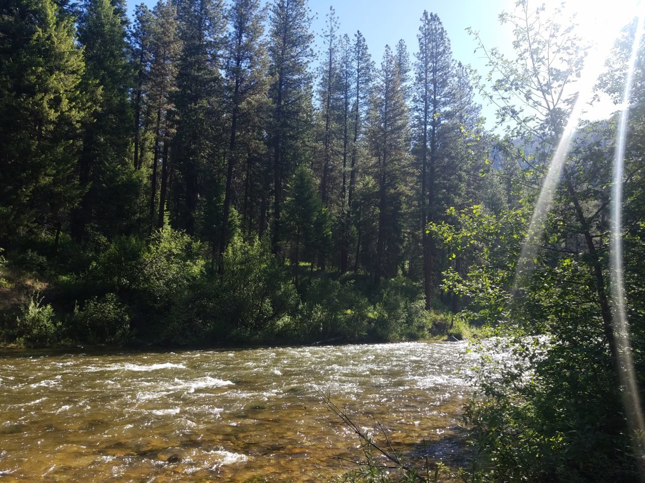 20180602_093240.jpg