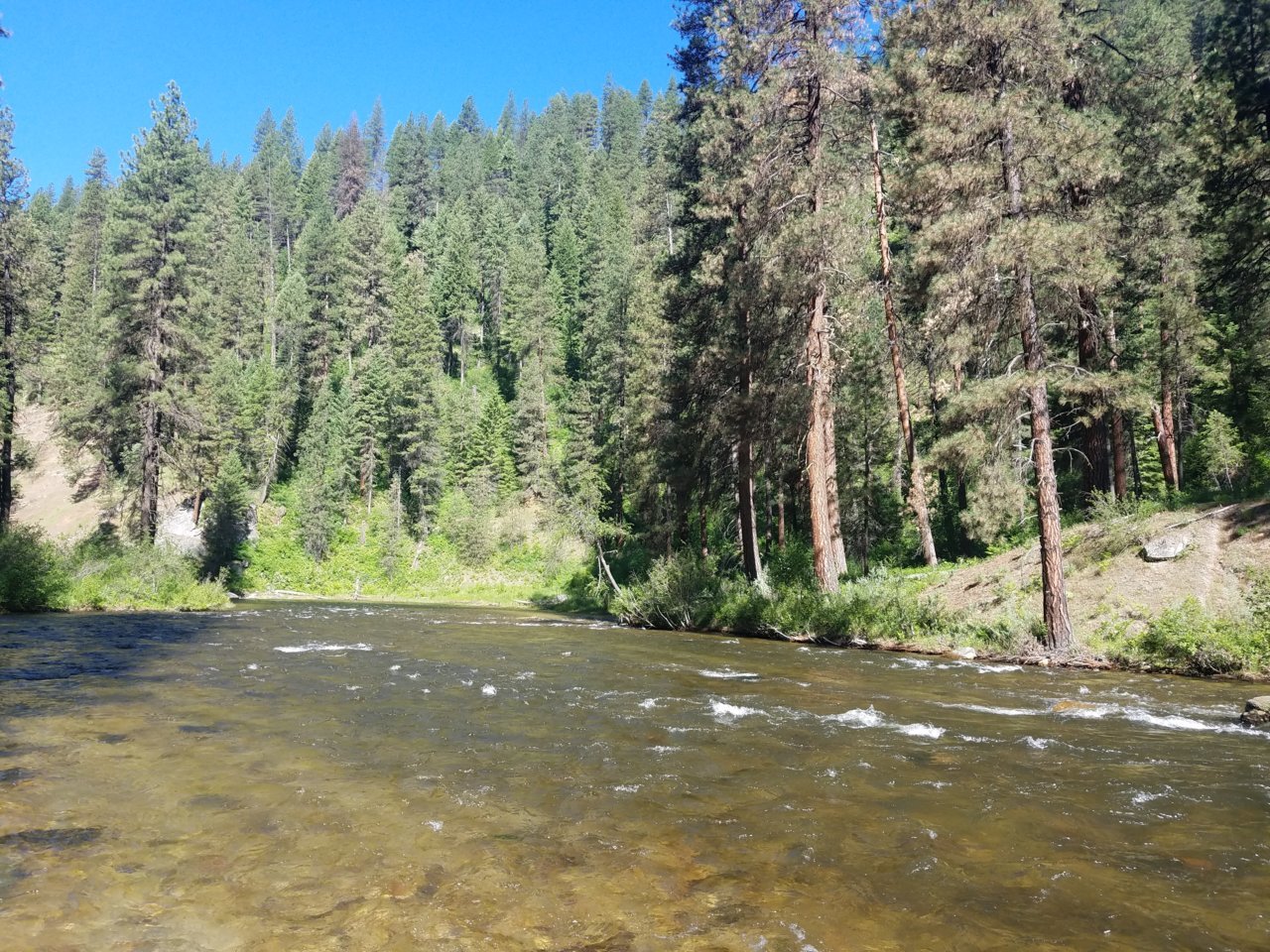 20180602_093743.jpg