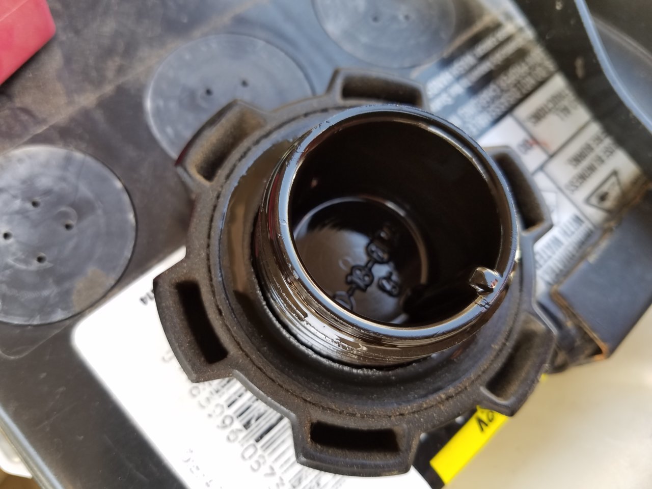 20180602_101810[1].jpg