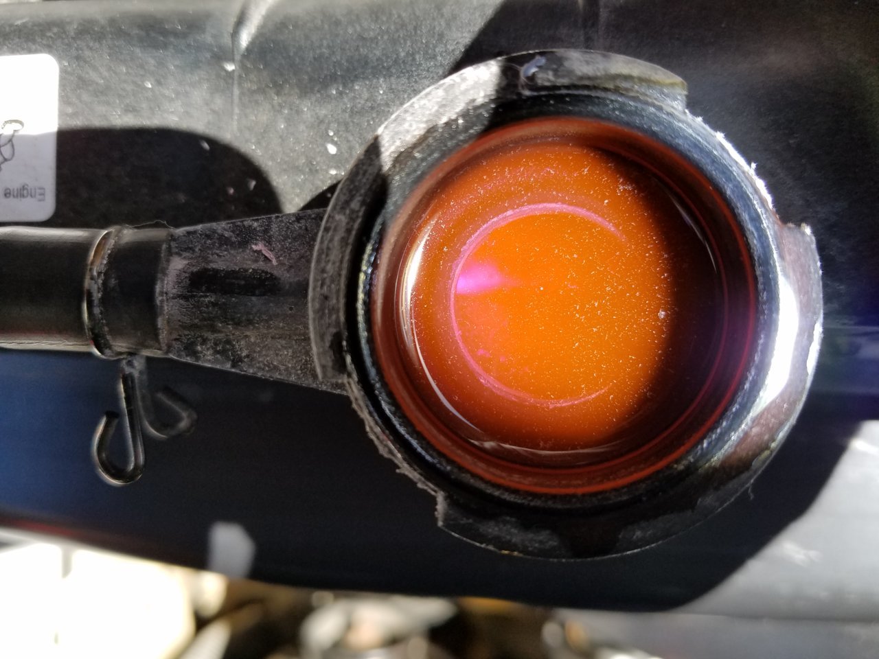 20180602_103141[1].jpg