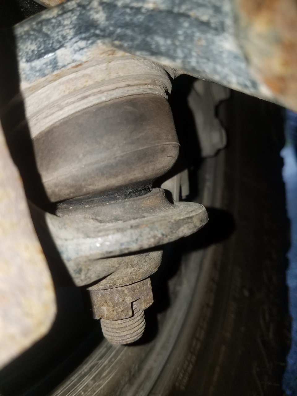 20180602_112815.jpg