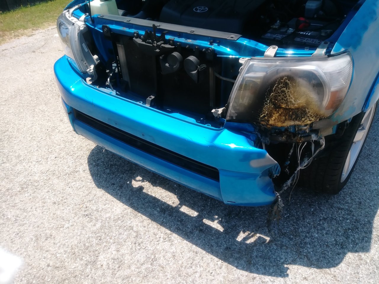 20180602_124821.jpg