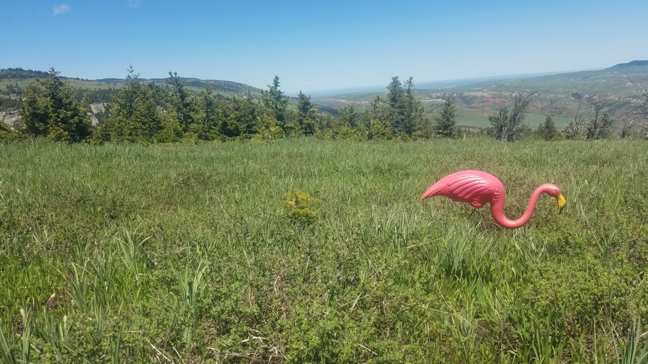 20180602_131849.jpg