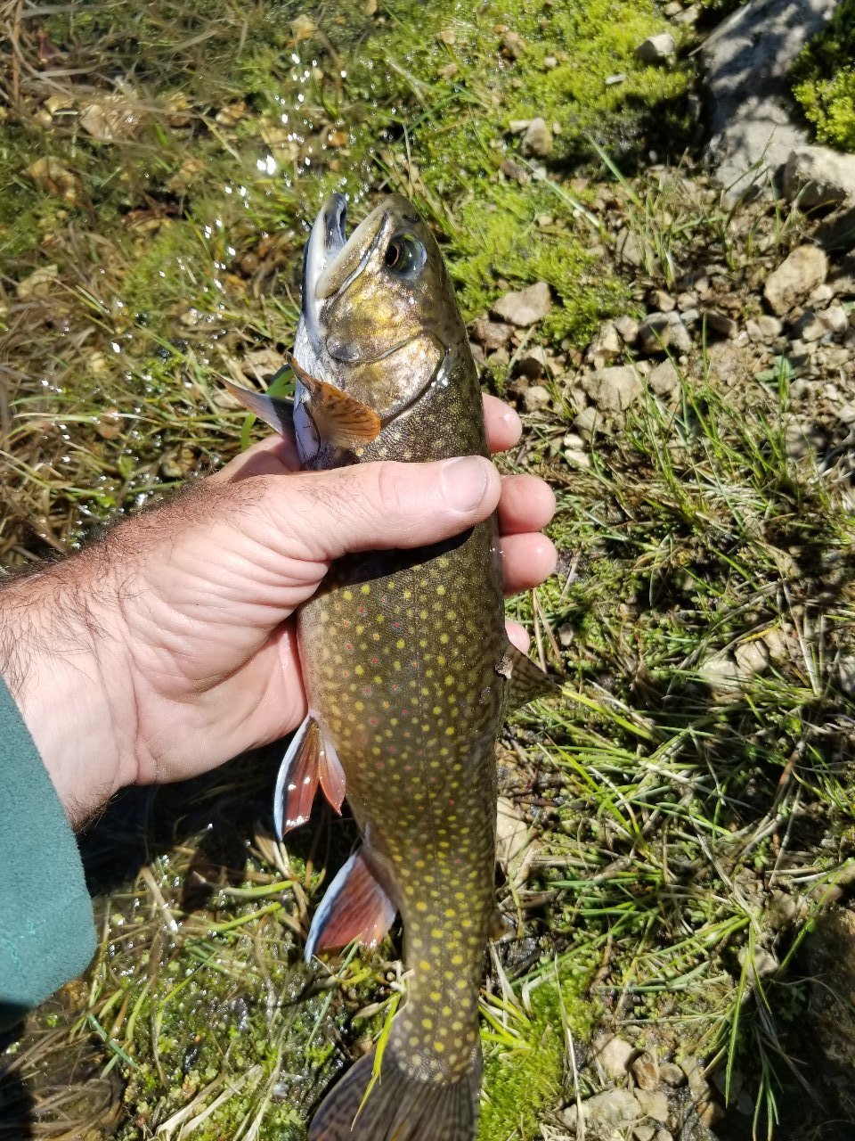 20180602_144645.jpg