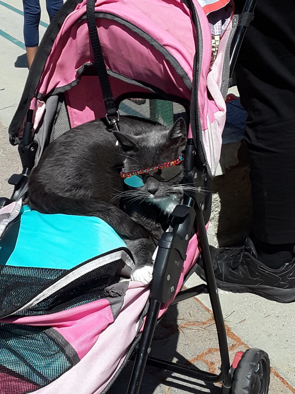 20180602_152003.jpg