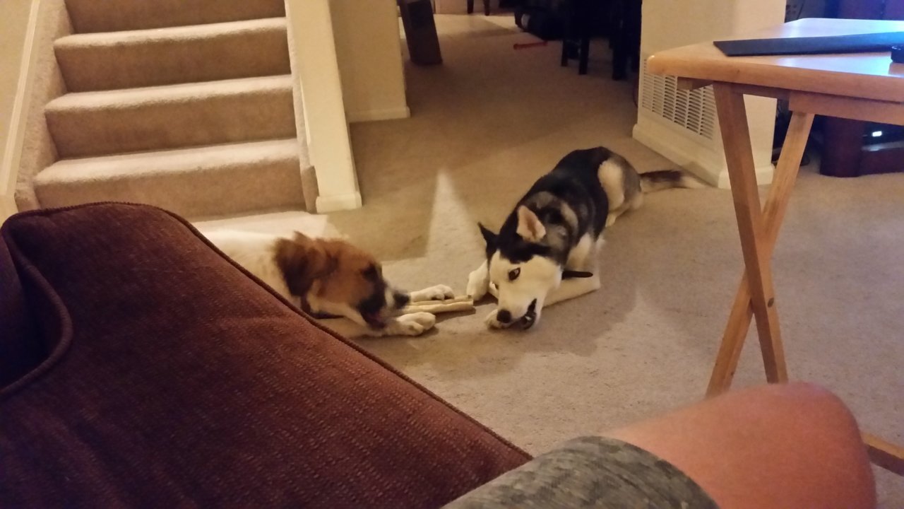 20180602_220636.jpg