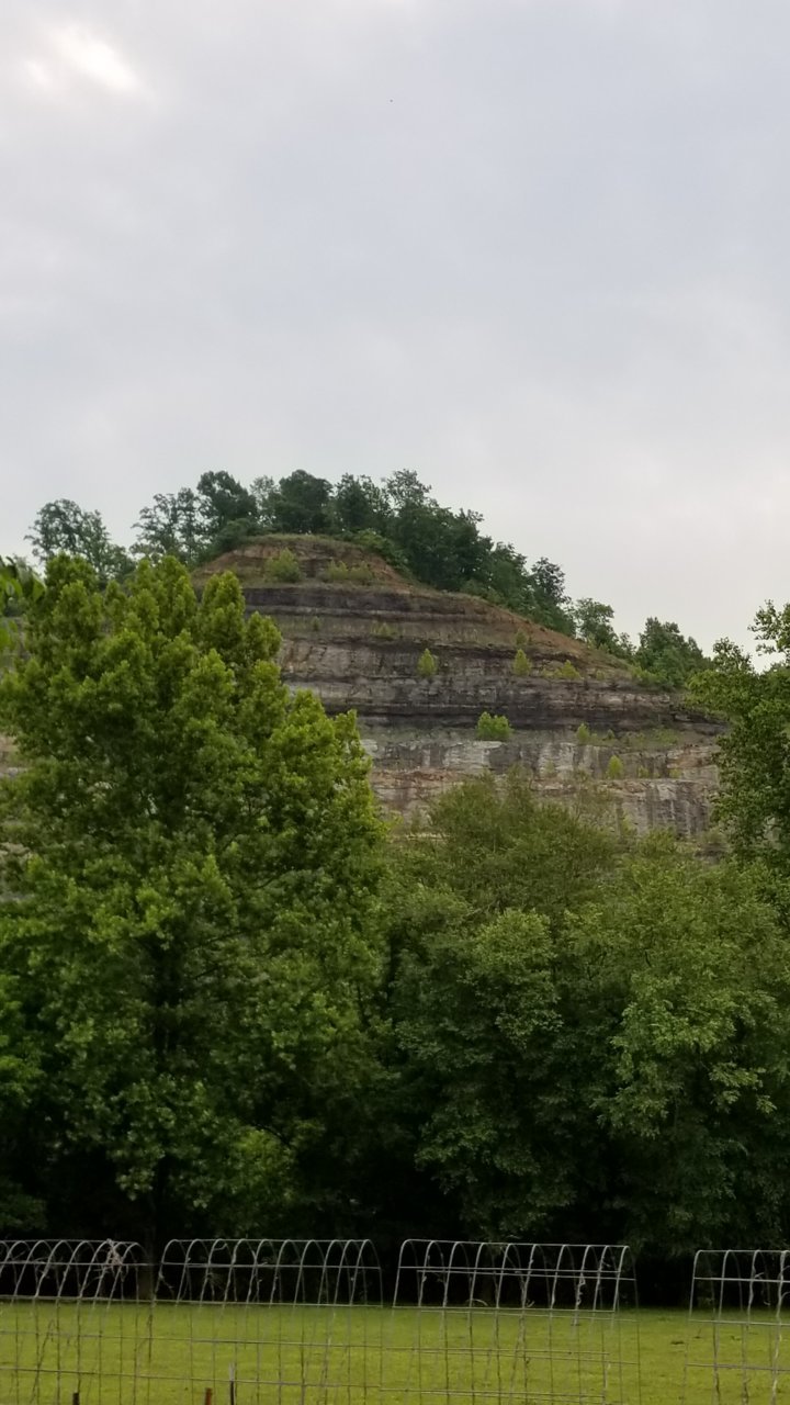 20180603_085445.jpg