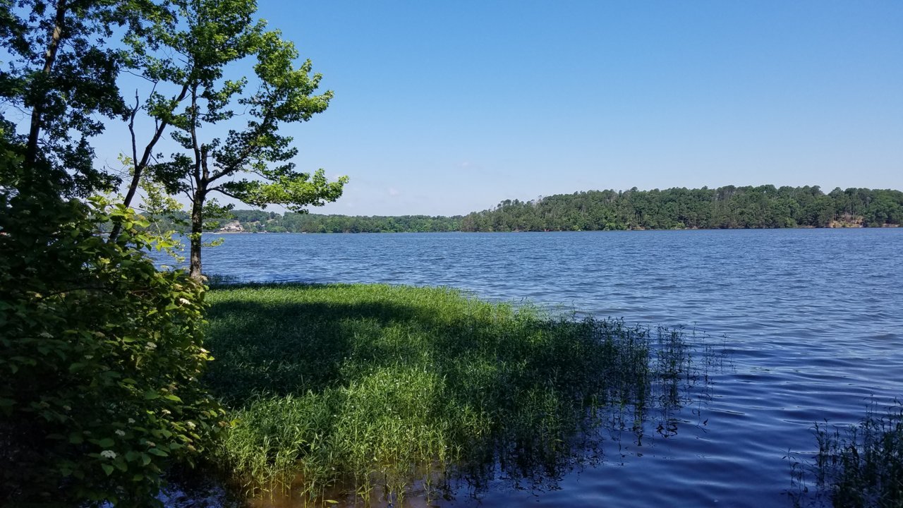 20180603_105128.jpg