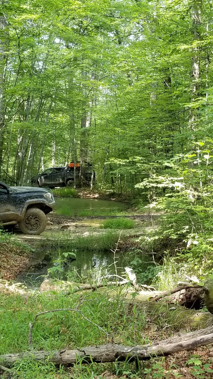 20180603_112242.jpg