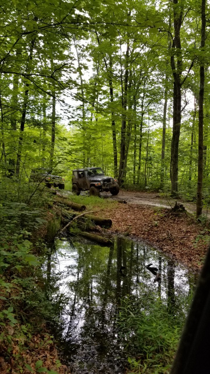 20180603_112308.jpg