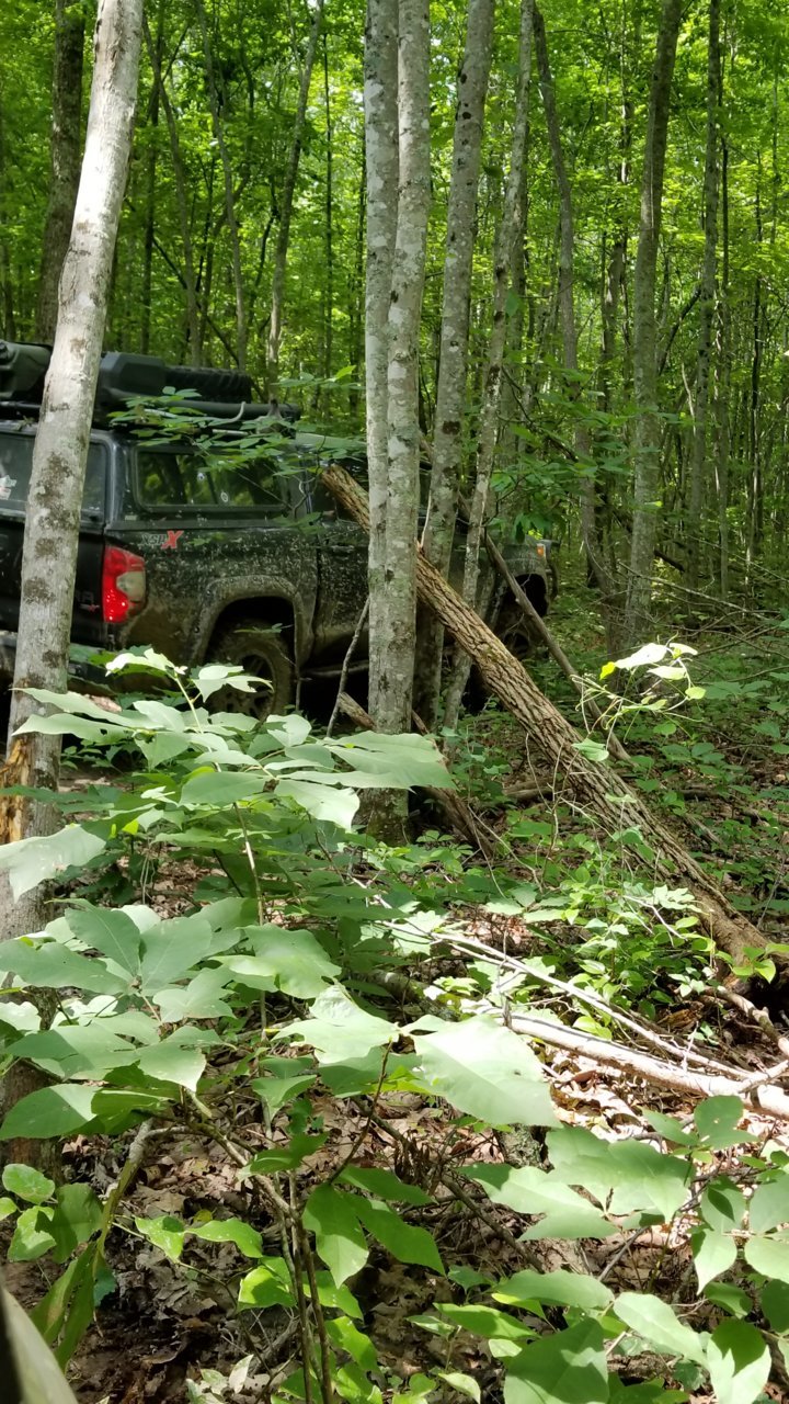 20180603_115457.jpg