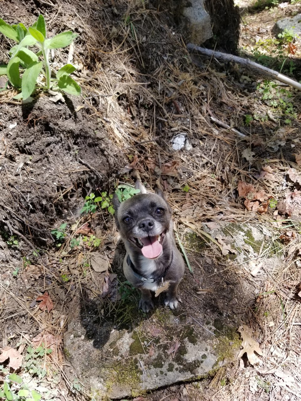 20180603_135618.jpg
