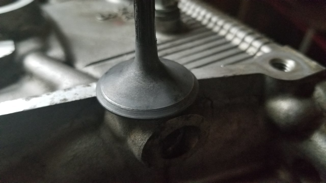 20180603_162512.jpg