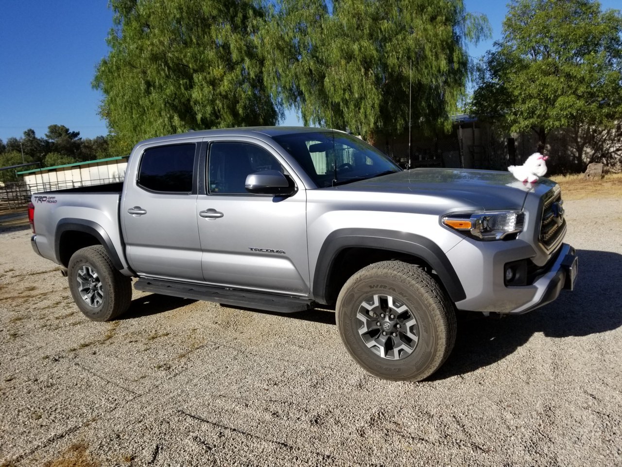 20180603_174731.jpg