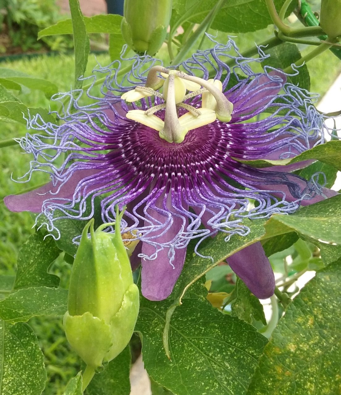 20180604_124032.jpg