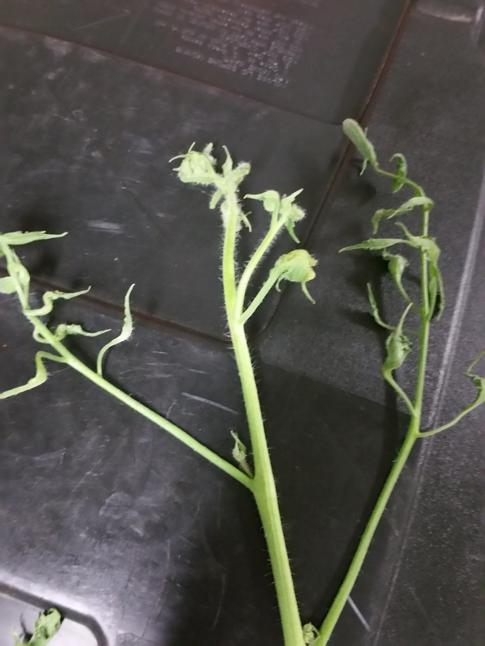 20180604_134224.jpg