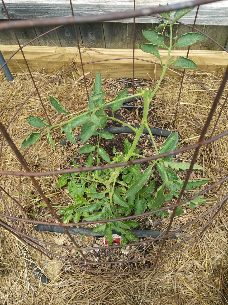 20180604_134351.jpg
