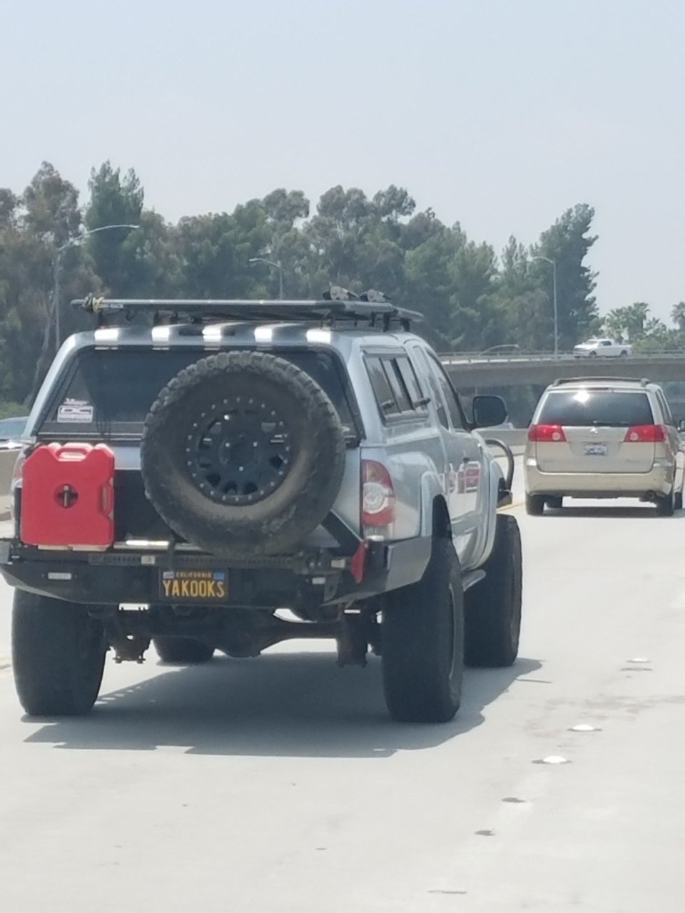 20180605_125221.jpg