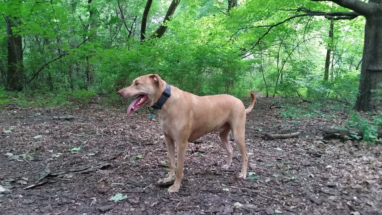 20180605_162135.jpg