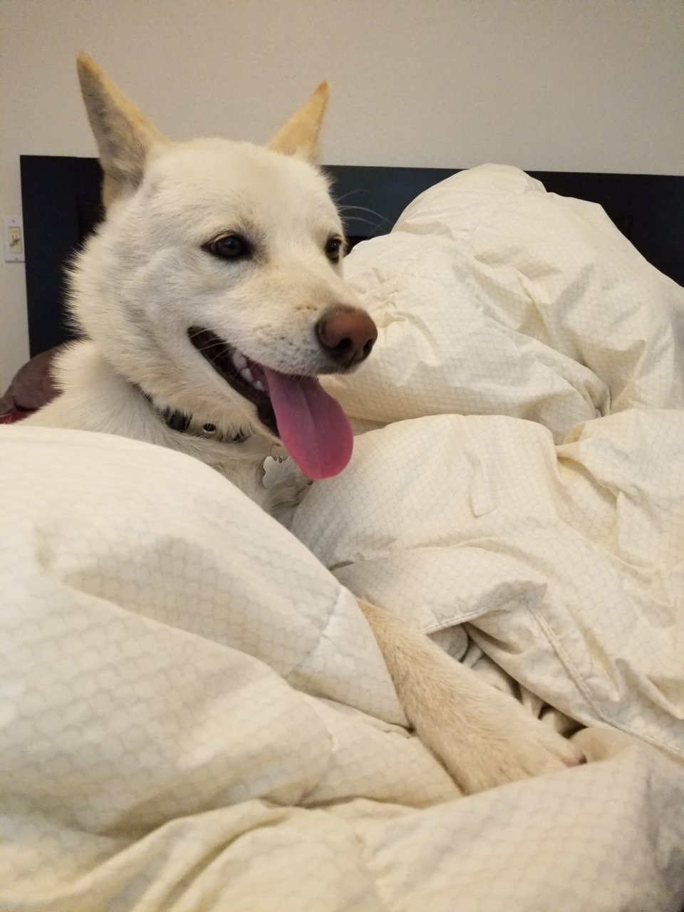 20180605_171135.jpg