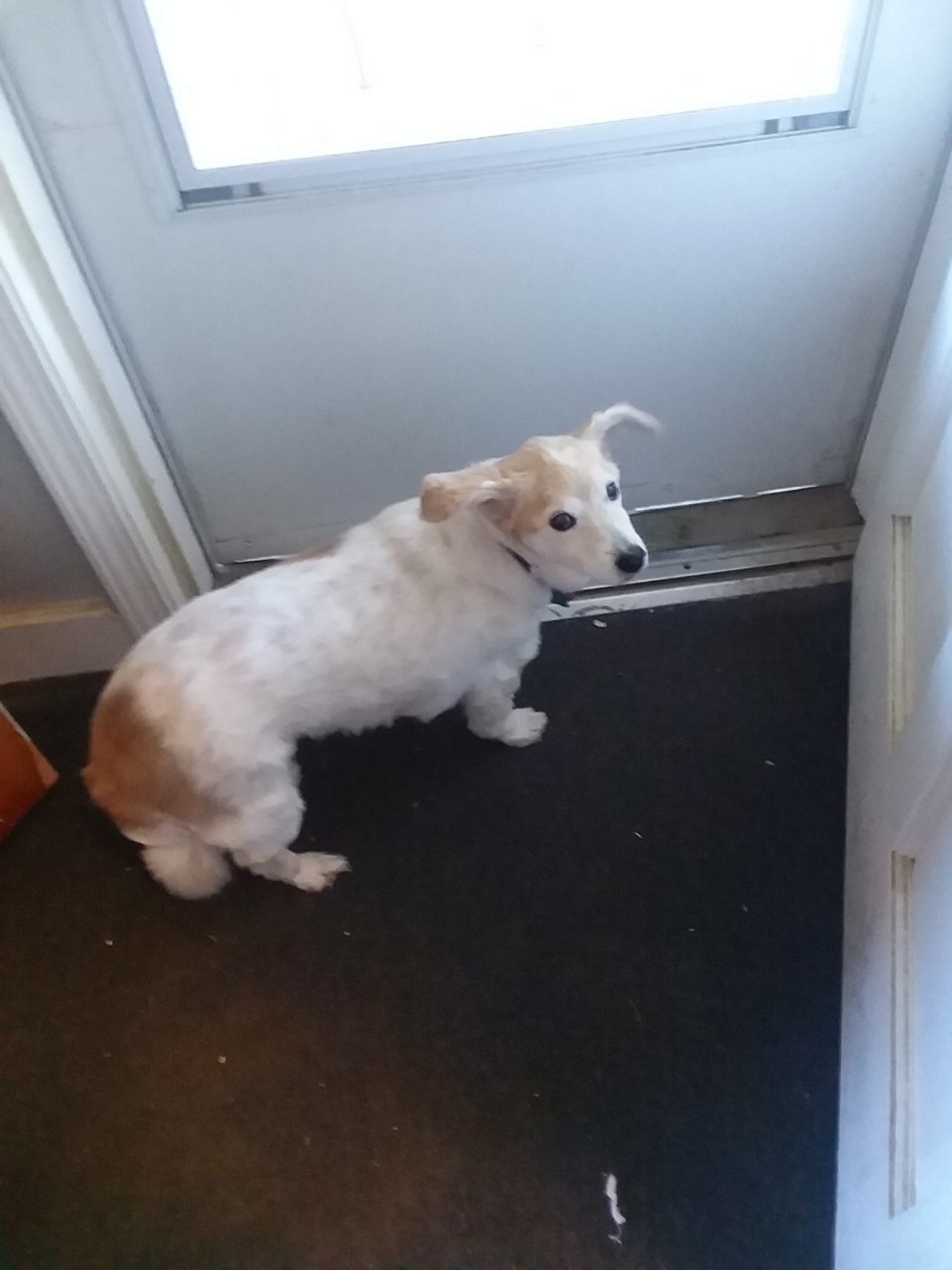 20180605_181855.jpg