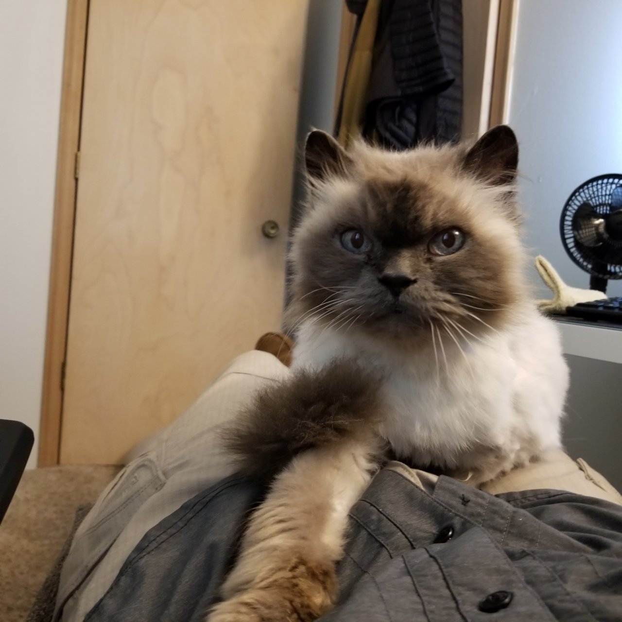20180606_162617.jpg