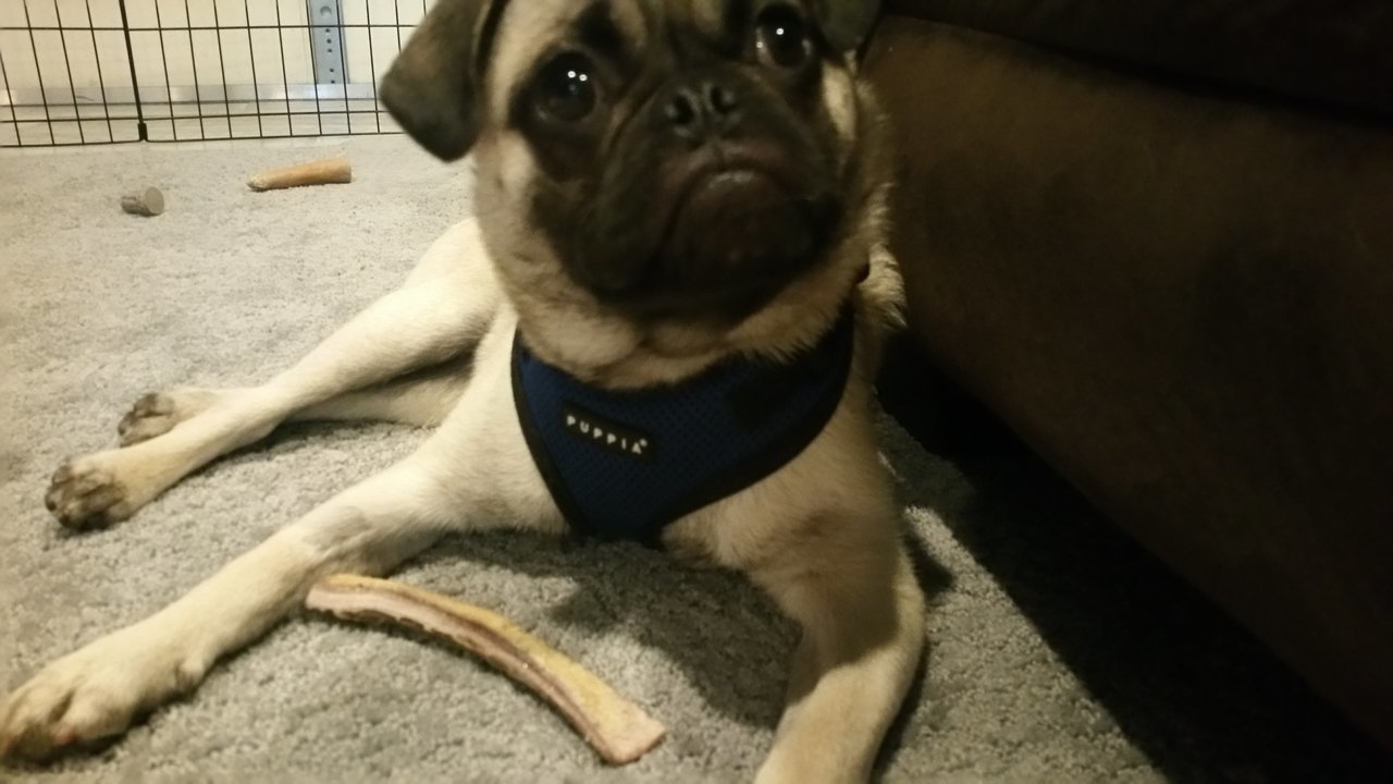 20180607_130851.jpg