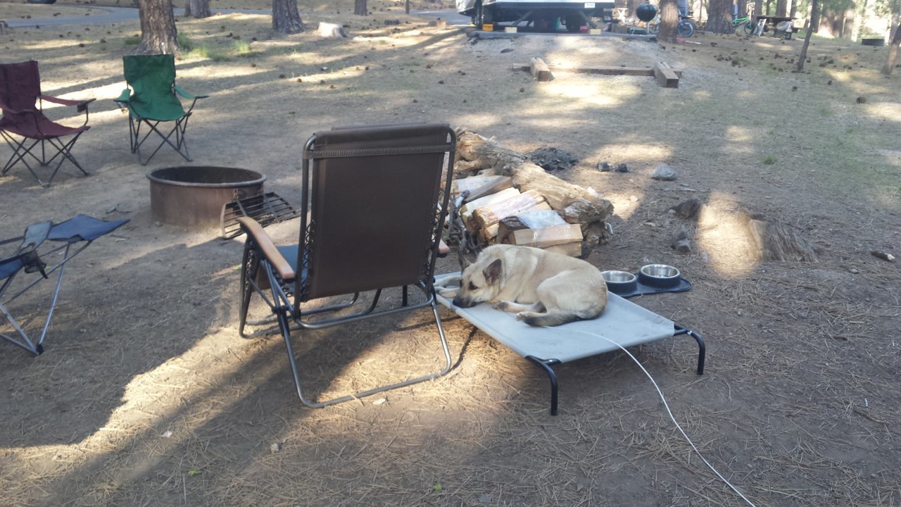20180607_183529.jpg
