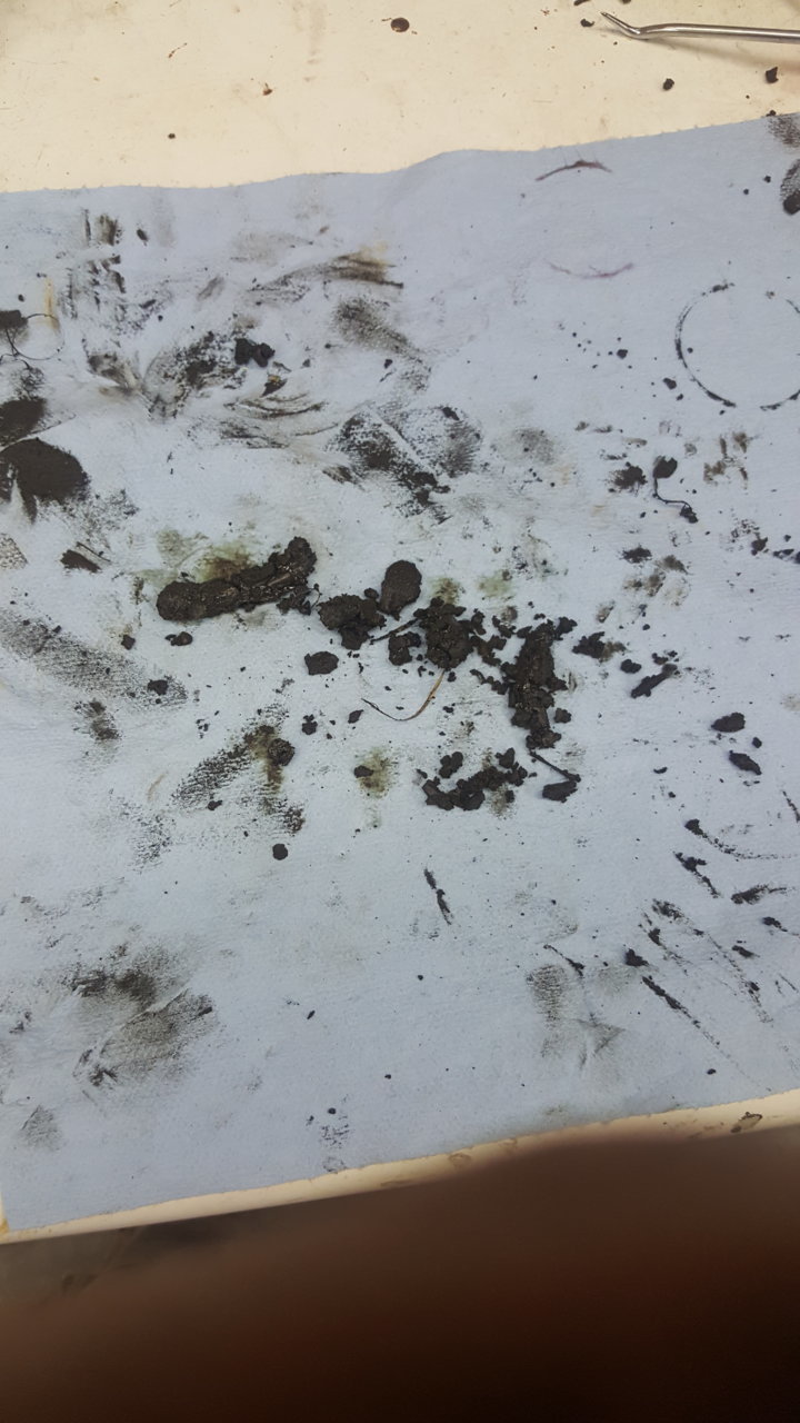 20180607_184551.jpg